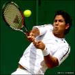 _44791930_verdasco_300.jpg