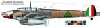 Bf110D-Iraq.jpg