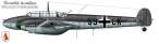 Bf110D-S9-CK.jpg