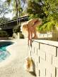 01382_Anna_Faris_GQ_Magazine-3_122_623lo.jpg