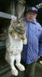 060411_rabbit_big.jpg
