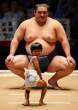 25318_602923933_Sumo+09.jpg