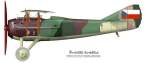 SPAD-13-CSSR.jpg