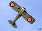 spad10.jpg