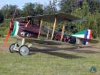 spad14.jpg