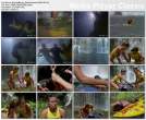 11272_bb_sk_05_preview_122_243lo.jpg
