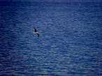 DSC00452.JPG