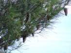 DSC00440.JPG