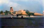 F-5.JPG