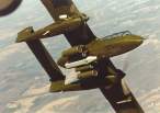 ov10a_morocco_155404_burin_moroc404.jpg