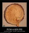 funny-pictures-your-pumpkin-pie-wants-whipped-cream.jpg