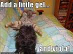 funny-pictures-cat-does-hair.jpg
