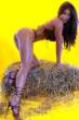 nancy-erminia-vitale-23.jpg