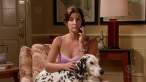 cobie_smulders_how_i_met_your_mother_qrfQXdR.jpg