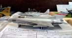 006Sent09 MiG21 F13,1-72 2d1.jpg