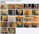 44806_Jeanette_Biedermann_Taff_FHM_Sexiest_Women_13072006_01_PV_123_460lo.jpg
