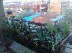 03042010045.jpg