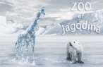 zoo.jpg