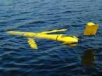 Underwater whale guard robot 1.jpg