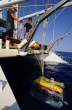 underwater-robot-ROV--Rem-009.jpg