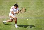 Janko-Tipsarevic026.jpg