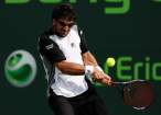 Janko-Tipsarevic091.jpg