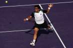 Janko-Tipsarevic102.jpg