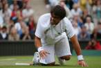 Janko-Tipsarevic120.jpg