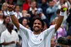 Janko-Tipsarevic121.jpg