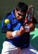 Janko-Tipsarevic127.jpg