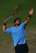 Janko-Tipsarevic168.jpg