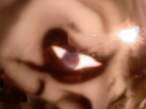 photo0139ka.jpg