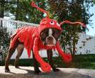 dressed_dog_20.jpg