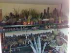 24102010164.jpg