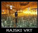 RAJSKI VRT.jpg