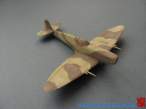 IDF spit 23.jpg