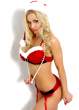 jenny_poussin_xmas.jpg
