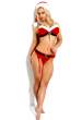 jenny_poussin_xmas_3.jpg