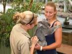Jelena-Dokic-at-Lone-Pine-Koala-Sanctuary02-633x480.jpg