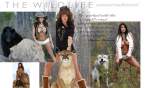 DanaHammTheWildlife.jpg