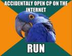 1296945100785_Paranoid_Parrot-s580x451-133392-580.jpg