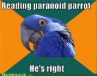 memes-reading-paranoid-parrot-hes-right.jpg