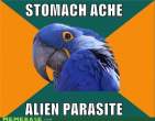 memes-stomach-ache-alien-parasite.jpg