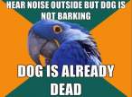 paranoid-parrot-meme-1-e1289328666572.jpg