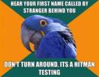 paranoid-parrot-meme-16.jpg