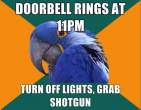 paranoid-parrot-meme-18.jpg