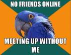 paranoid-parrot-meme-26.jpg