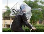 nubrella-1.jpg