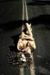 68749_sandi-korn-012_123_641lo.jpg