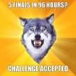 5-finals-in-96-hours-challenge-accepted.jpg